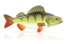 Meeresfrüchte gegen Pankreatitis